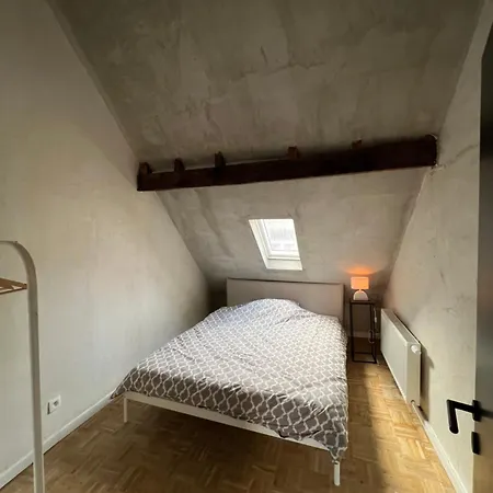 New Spacious Boutique Apartment's In The Center Of Apartment *