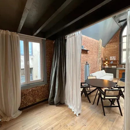 New Spacious Boutique Apartment's In The Center Of