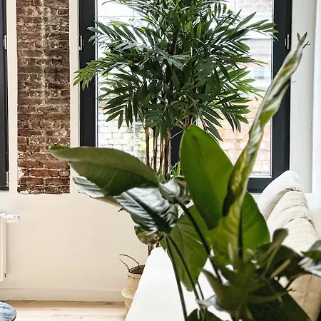 New Spacious Boutique Apartment's In The Center Of * Antwerp